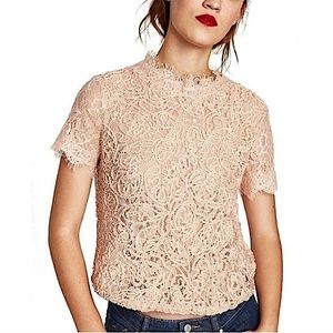 ZARA Trafaluc Rose Peach Pink Lace Crochet Embroidered Short Sleeve Top